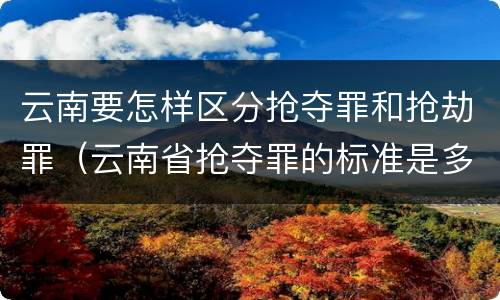 云南要怎样区分抢夺罪和抢劫罪（云南省抢夺罪的标准是多少?）