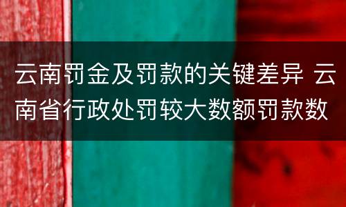 云南罚金及罚款的关键差异 云南省行政处罚较大数额罚款数额