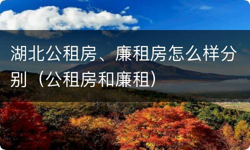 湖北公租房、廉租房怎么样分别（公租房和廉租）