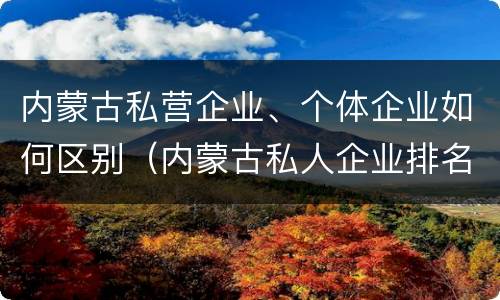 内蒙古私营企业、个体企业如何区别(内蒙古私人企业排名)
