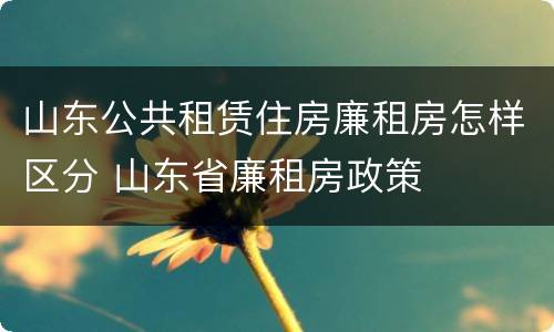 山东公共租赁住房廉租房怎样区分 山东省廉租房政策