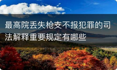 最高院丢失枪支不报犯罪的司法解释重要规定有哪些
