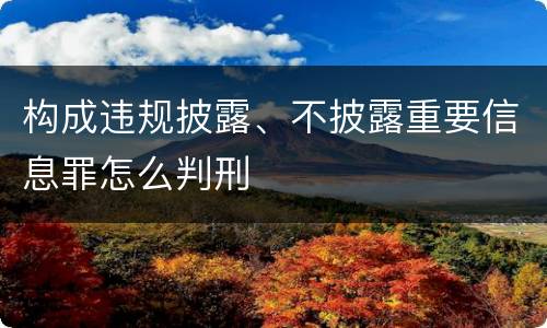 构成违规披露、不披露重要信息罪怎么判刑