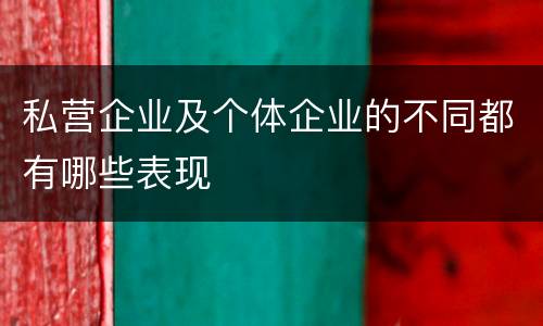 私营企业及个体企业的不同都有哪些表现