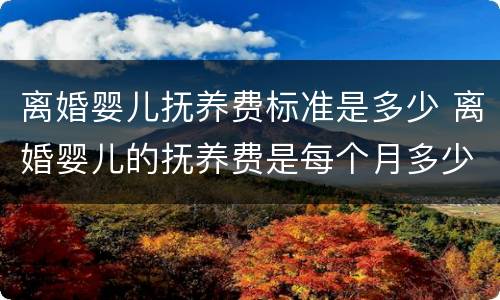离婚婴儿抚养费标准是多少 离婚婴儿的抚养费是每个月多少钱