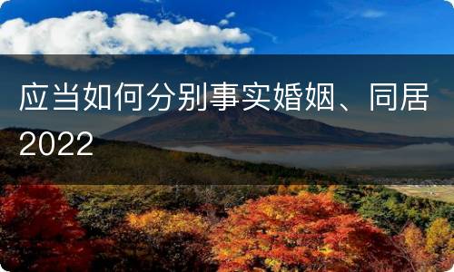 应当如何分别事实婚姻、同居2022