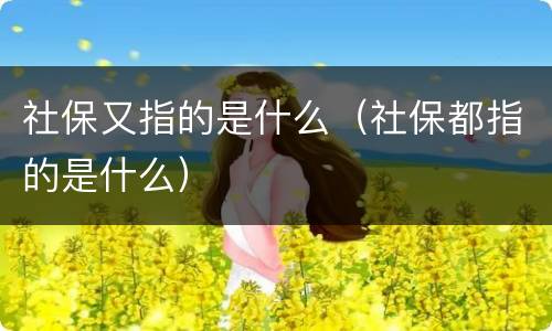 社保又指的是什么（社保都指的是什么）