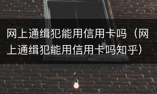 网上通缉犯能用信用卡吗（网上通缉犯能用信用卡吗知乎）