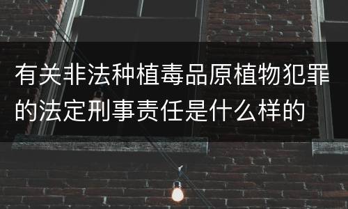 有关非法种植毒品原植物犯罪的法定刑事责任是什么样的