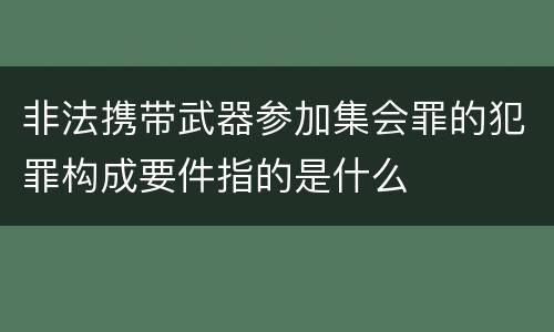 非法携带武器参加集会罪的犯罪构成要件指的是什么