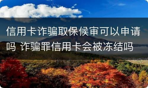 信用卡诈骗取保候审可以申请吗 诈骗罪信用卡会被冻结吗