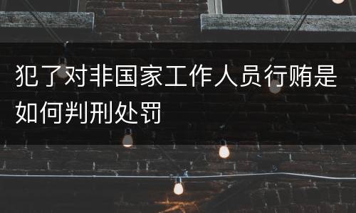 犯了对非国家工作人员行贿是如何判刑处罚