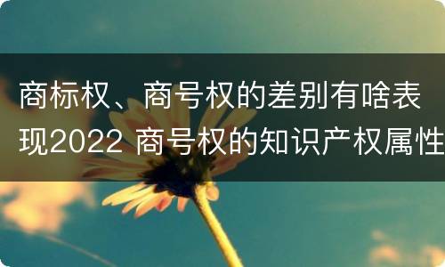 商标权、商号权的差别有啥表现2022 商号权的知识产权属性