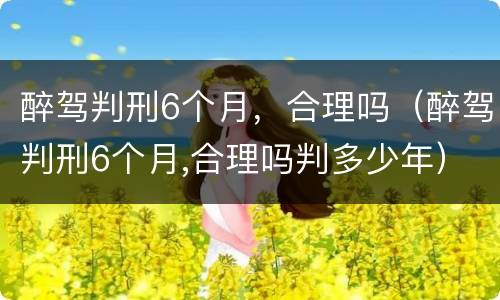 醉驾判刑6个月，合理吗（醉驾判刑6个月,合理吗判多少年）