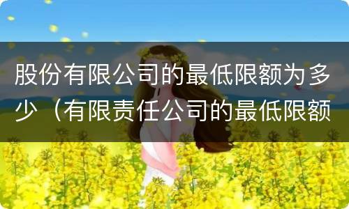 股份有限公司的最低限额为多少（有限责任公司的最低限额）