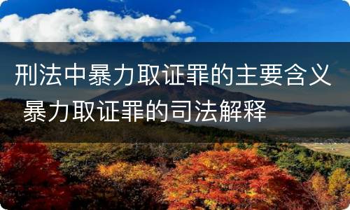 刑法中暴力取证罪的主要含义 暴力取证罪的司法解释