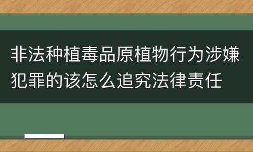 非法种植毒品原植物行为涉嫌犯罪的该怎么追究法律责任