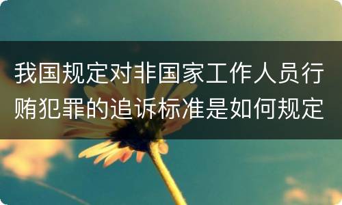 我国规定对非国家工作人员行贿犯罪的追诉标准是如何规定