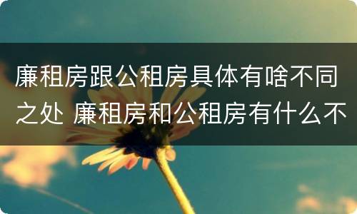 廉租房跟公租房具体有啥不同之处 廉租房和公租房有什么不同