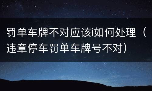 罚单车牌不对应该i如何处理（违章停车罚单车牌号不对）