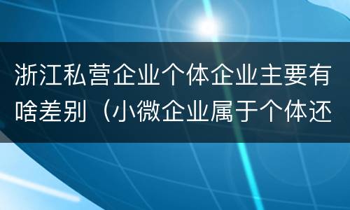 浙江私营企业个体企业主要有啥差别（小微企业属于个体还是私营）
