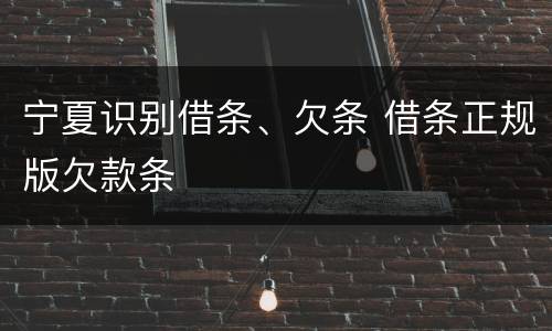 宁夏识别借条、欠条 借条正规版欠款条