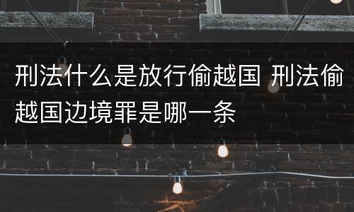 刑法什么是放行偷越国 刑法偷越国边境罪是哪一条