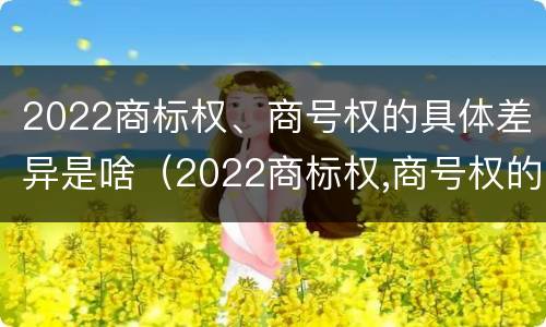 2022商标权、商号权的具体差异是啥（2022商标权,商号权的具体差异是啥）