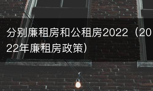 分别廉租房和公租房2022（2022年廉租房政策）