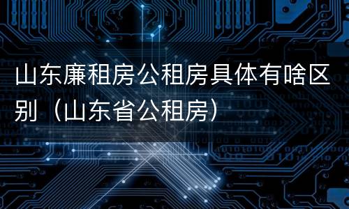 山东廉租房公租房具体有啥区别（山东省公租房）