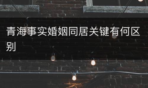 青海事实婚姻同居关键有何区别