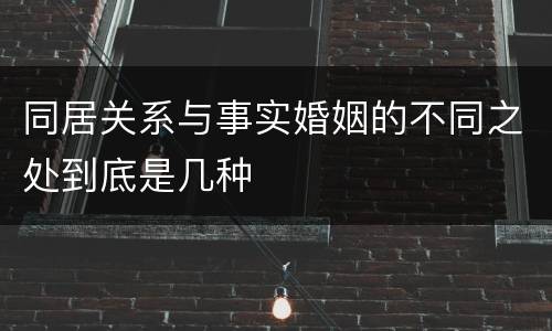 同居关系与事实婚姻的不同之处到底是几种