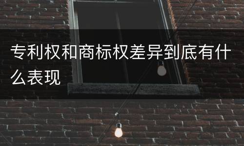 专利权和商标权差异到底有什么表现