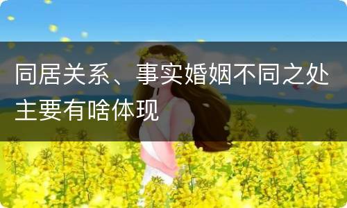 同居关系、事实婚姻不同之处主要有啥体现