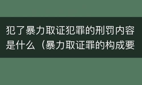 犯了暴力取证犯罪的刑罚内容是什么（暴力取证罪的构成要件）
