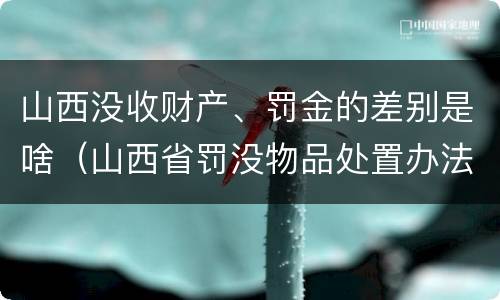 山西没收财产、罚金的差别是啥（山西省罚没物品处置办法）