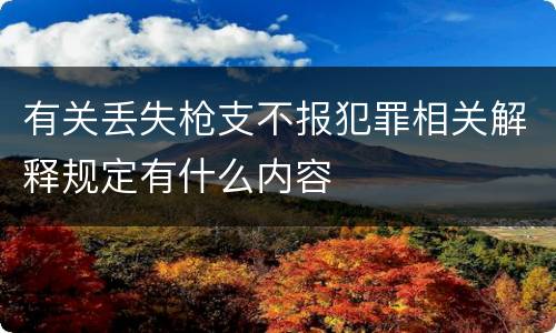 有关丢失枪支不报犯罪相关解释规定有什么内容