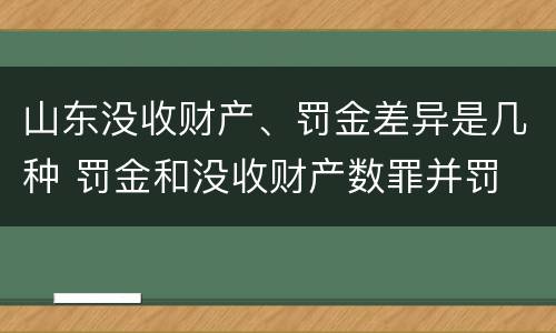 山东没收财产、罚金差异是几种 罚金和没收财产数罪并罚