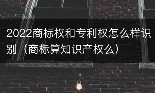 2022商标权和专利权怎么样识别（商标算知识产权么）