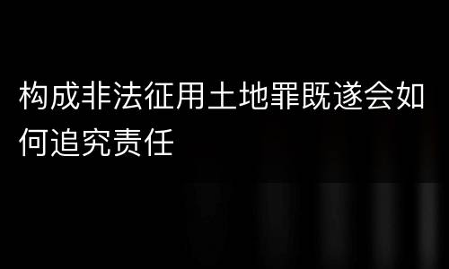 构成非法征用土地罪既遂会如何追究责任