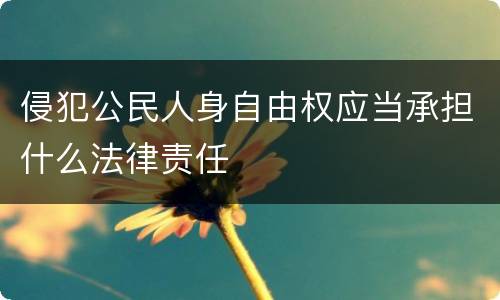 侵犯公民人身自由权应当承担什么法律责任