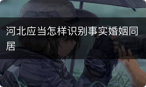 河北应当怎样识别事实婚姻同居