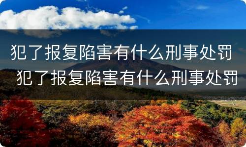 犯了报复陷害有什么刑事处罚 犯了报复陷害有什么刑事处罚吗