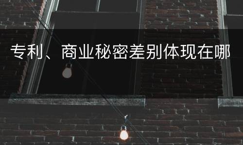 专利、商业秘密差别体现在哪
