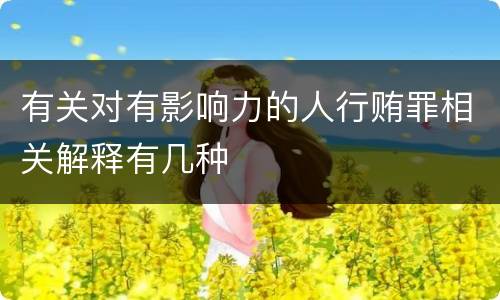 有关对有影响力的人行贿罪相关解释有几种