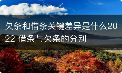 欠条和借条关键差异是什么2022 借条与欠条的分别