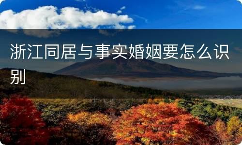 浙江同居与事实婚姻要怎么识别