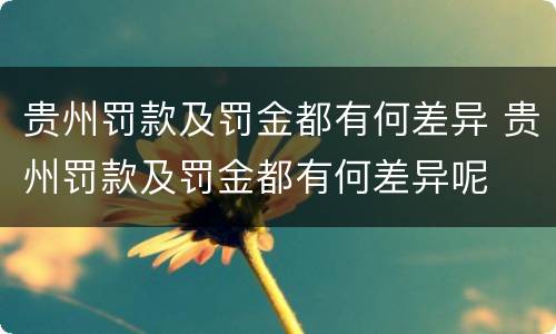 贵州罚款及罚金都有何差异 贵州罚款及罚金都有何差异呢