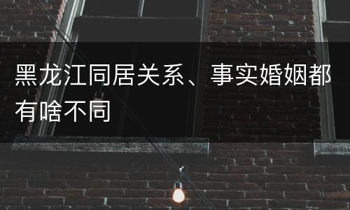 黑龙江同居关系、事实婚姻都有啥不同