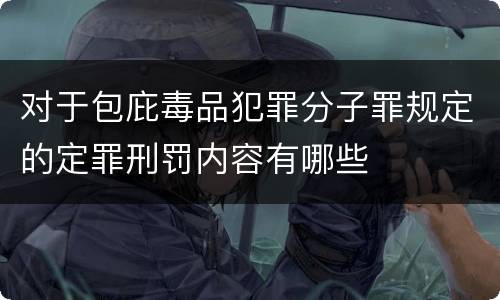 对于包庇毒品犯罪分子罪规定的定罪刑罚内容有哪些